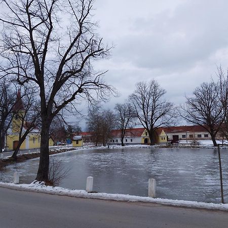 Ubytovani U Dvoraku Veseli nad Luznici Luaran gambar